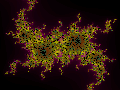 thumbs/fract008.gif